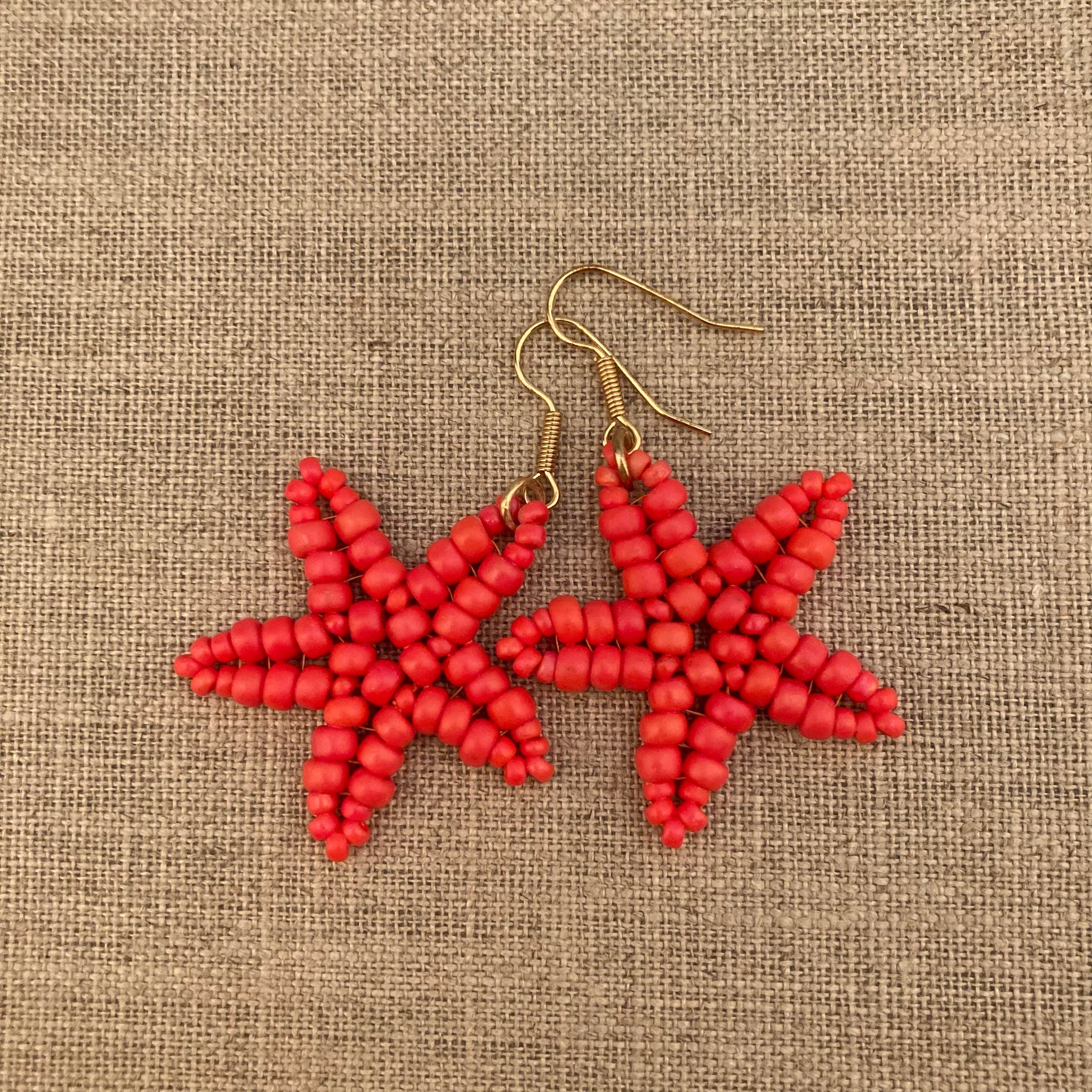 Starfish Earrings available in 17 Vibrant Colors